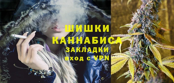 индика Арсеньев