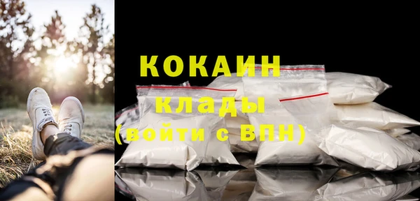 индика Арсеньев