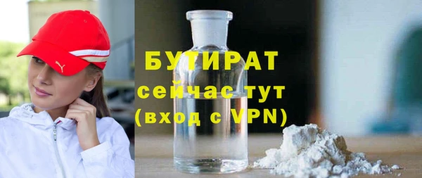 индика Арсеньев