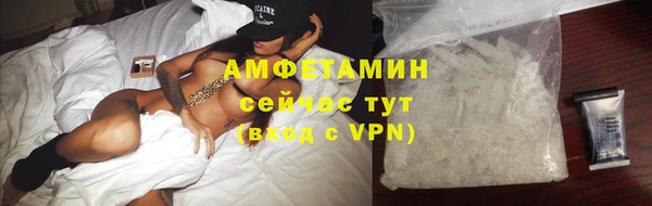 индика Арсеньев