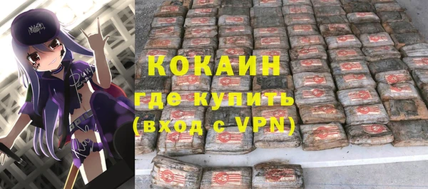 индика Арсеньев