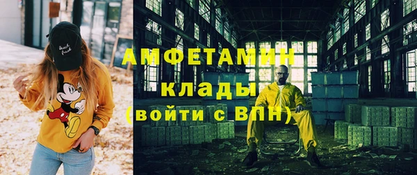 индика Арсеньев