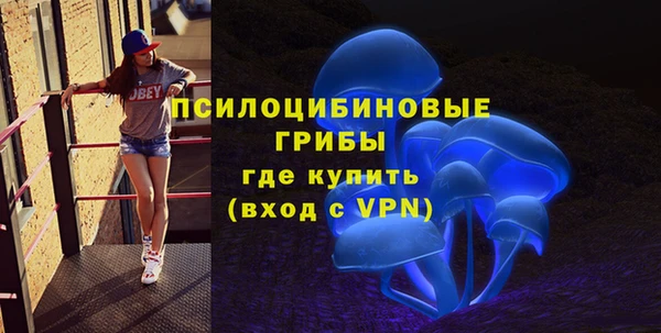 дмт Аркадак