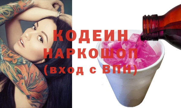 индика Арсеньев